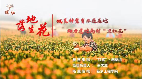 落地生花-做良种繁育示范基地,助力道地药材“卫红花”PPT首页 落地生花-做良种繁育示范基地,助力道地药材“卫红花”PPT首页