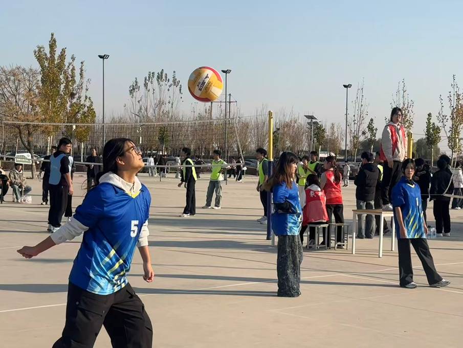 e3875ec3d2d2a6f7751718c26cdcb23d