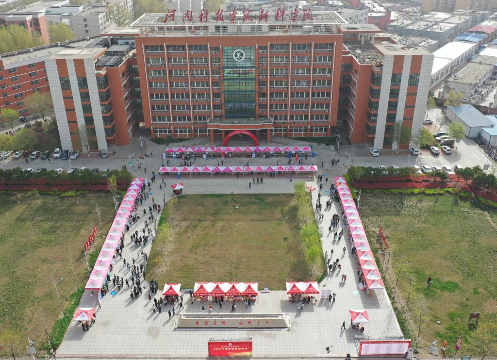 双选会现场(四)