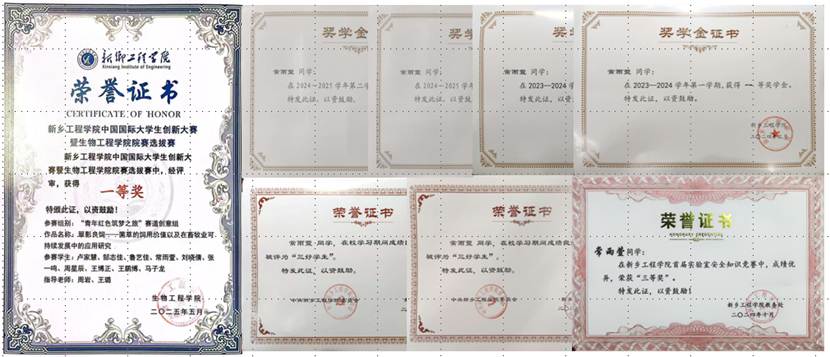 c05881a5-60f2-49fa-b039-bedfbfb03eb2