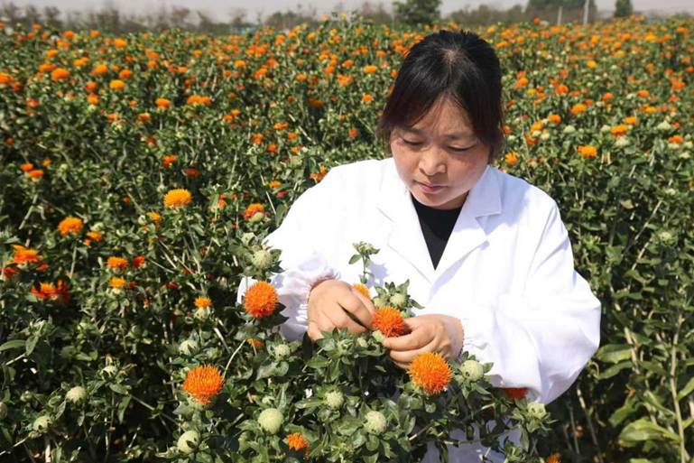 f1a37ad56cffb476465c192d2458b0d9